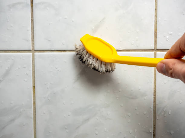 Reliable Hebron Estates, KY Mold Remediation Solutions